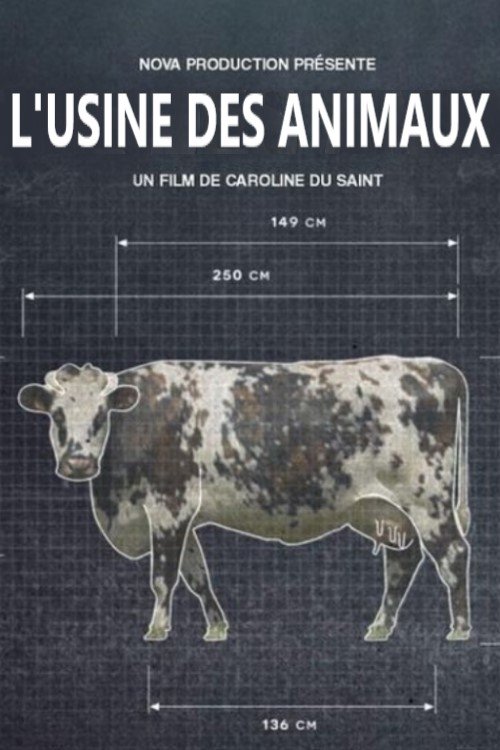 Affiche du film L'usine des animaux