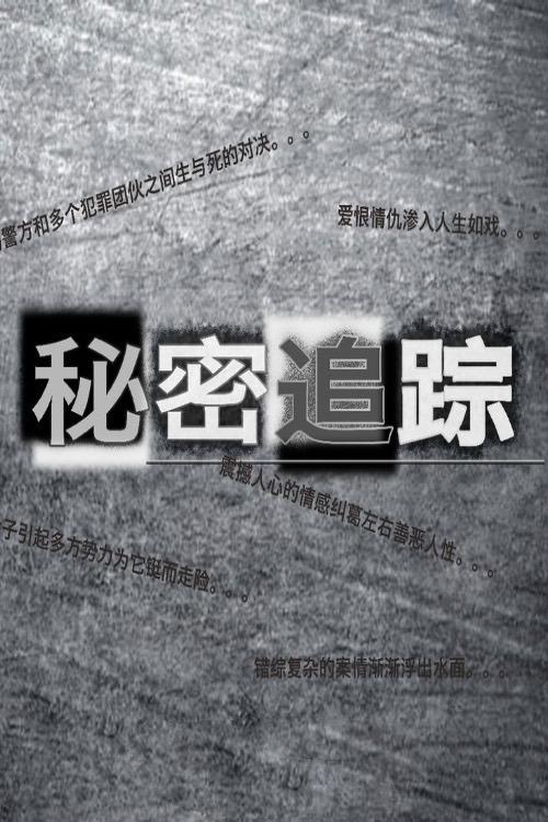 Poster de 秘密追踪