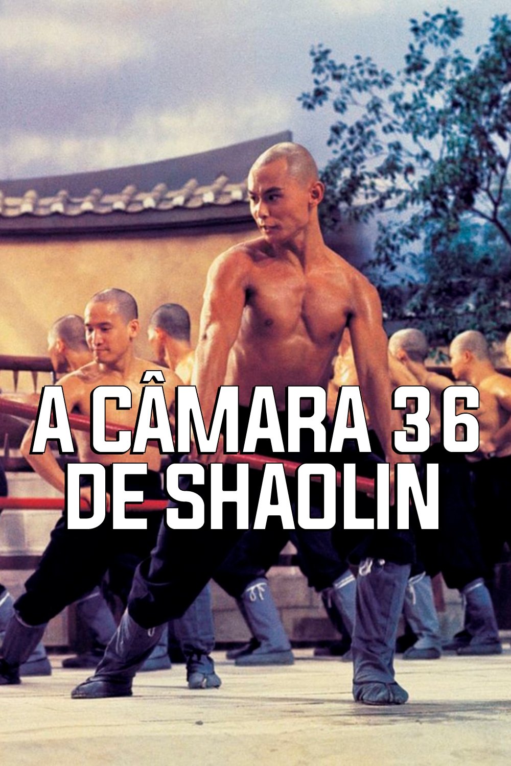 Poster de A 36ª Câmara de Shaolin