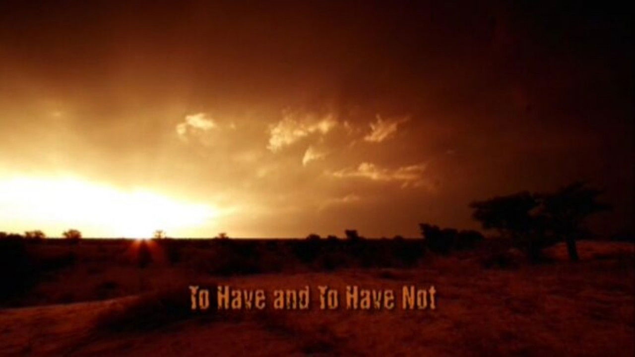 To Have and to Have Not