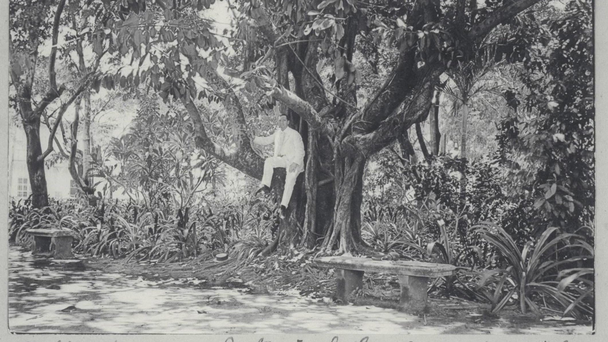 Backdrop image