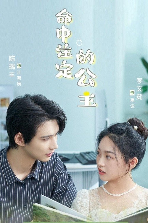 Poster de 命中注定的公主