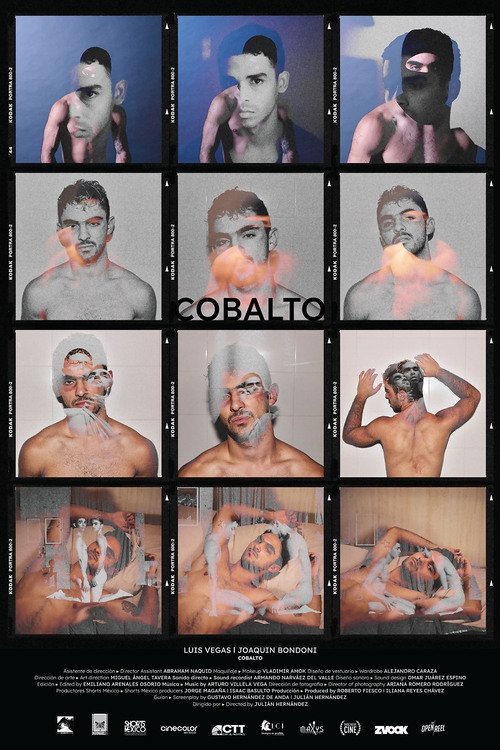 Poster de Cobalto