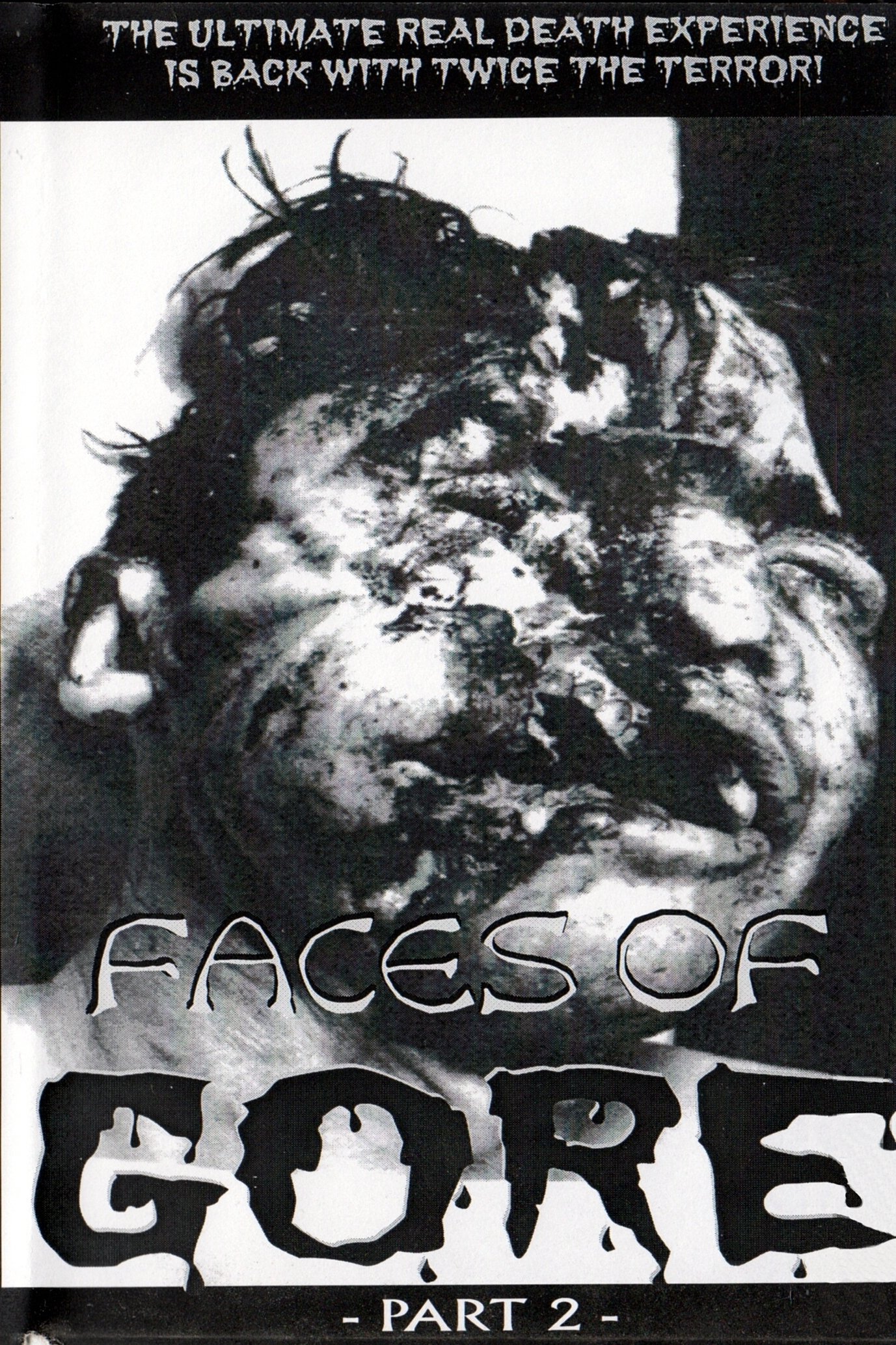 Poster for Faces Of Gore 2