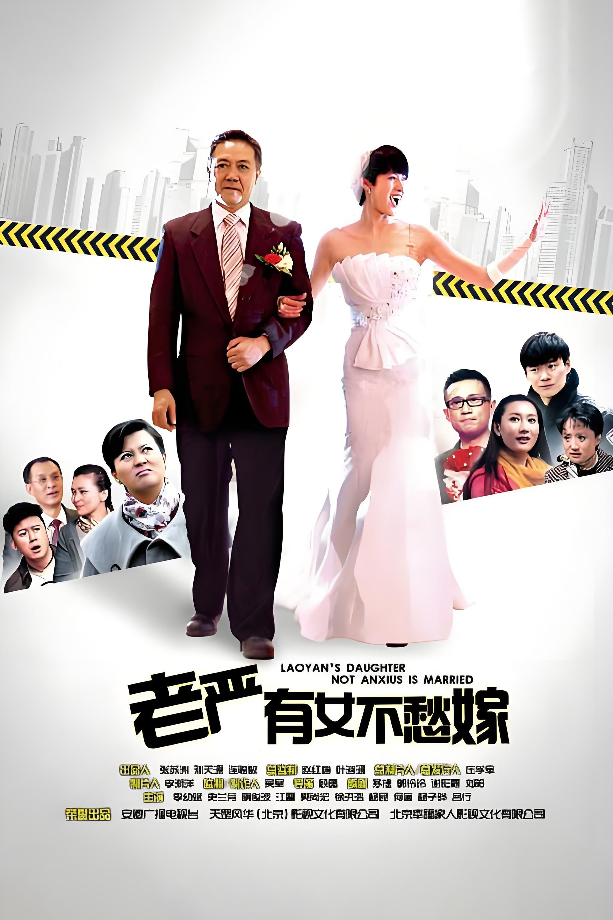 Poster de 老严有女不愁嫁