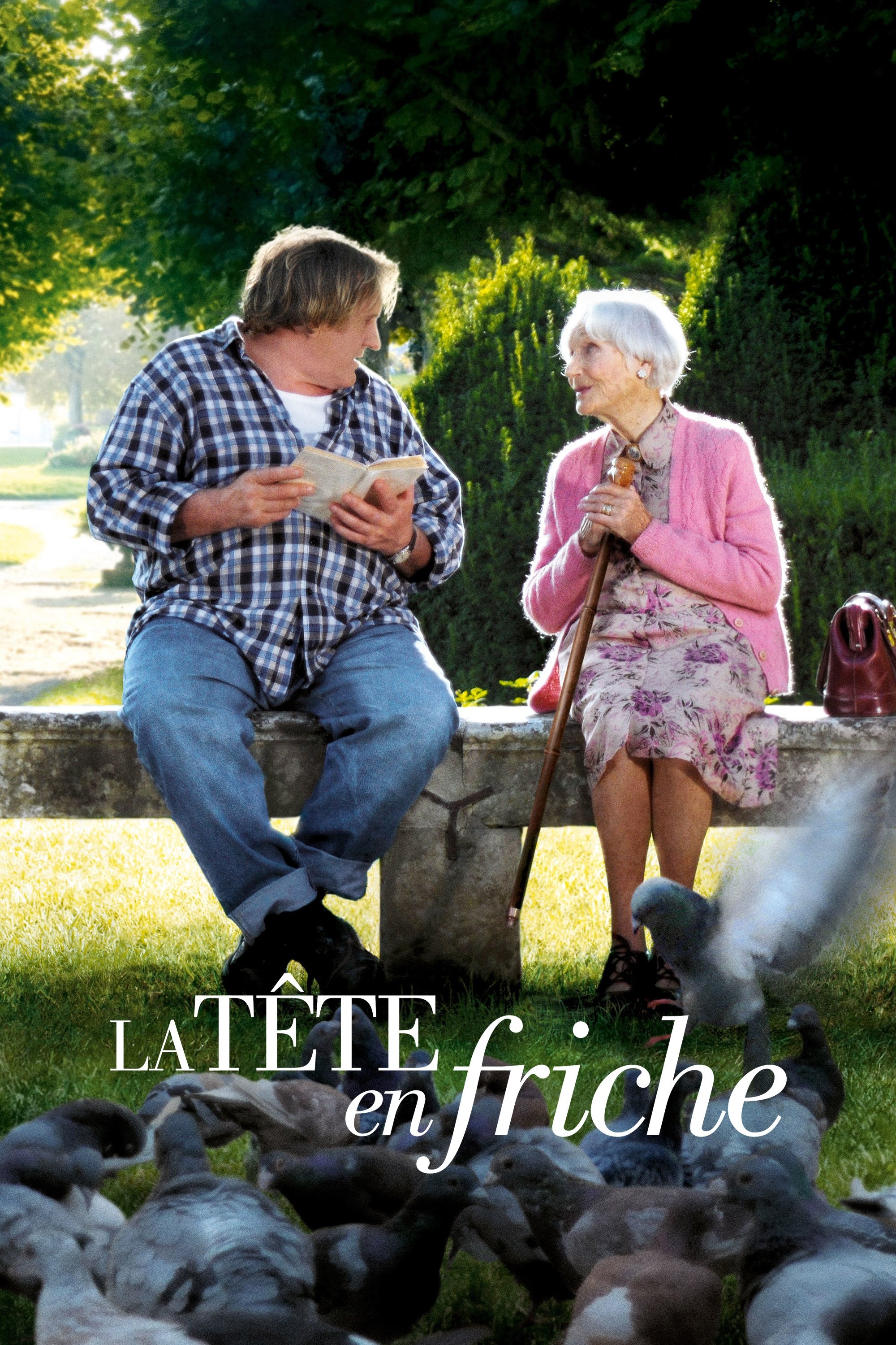Affiche du film La Tête en friche