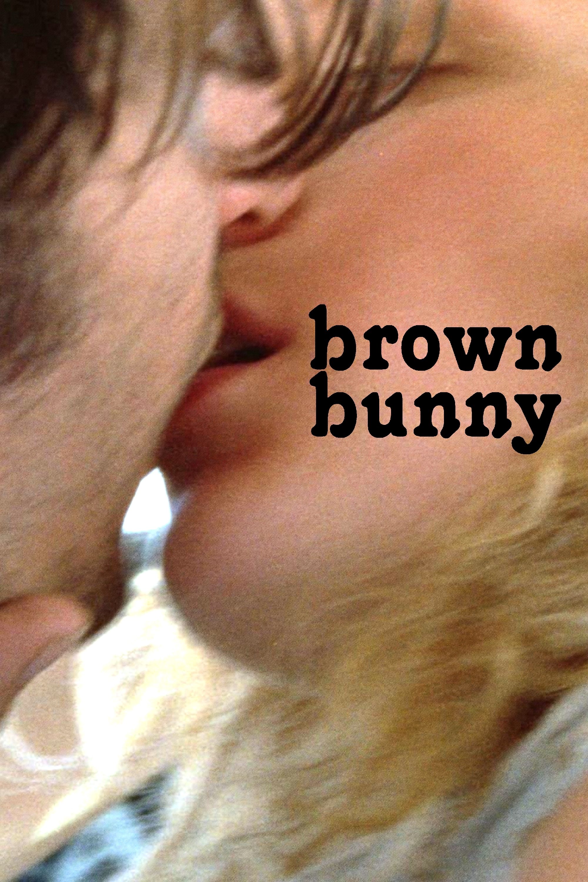 Poster de Brown Bunny