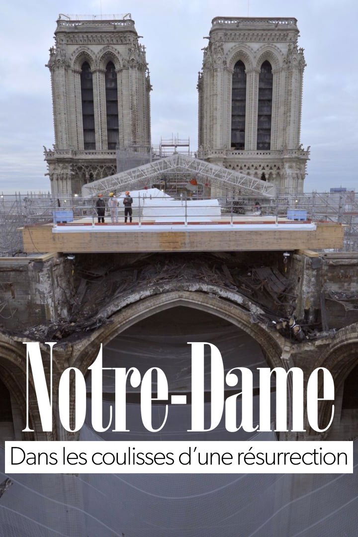 Poster de Notre-Dame, dans les coulisses d’une résurrection
