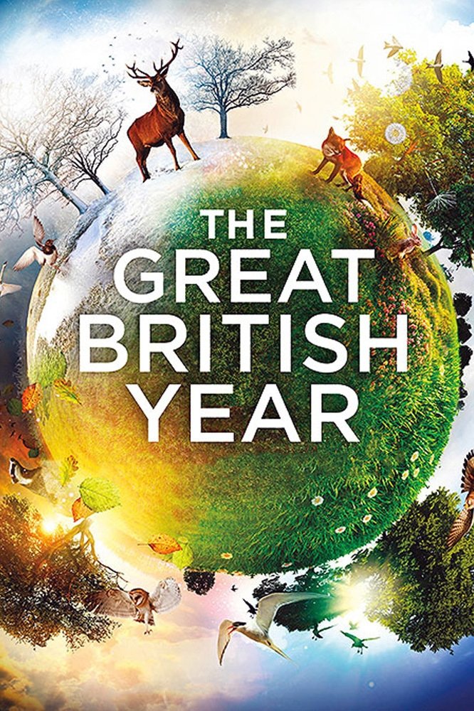 Poster de The Great British Year