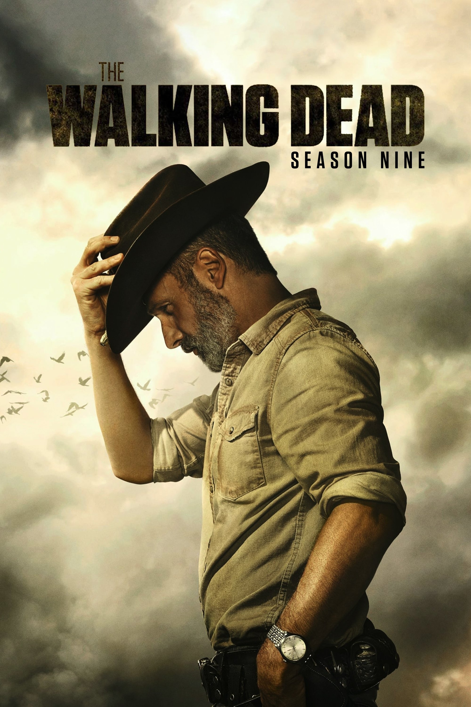 Poster de Temporada 9