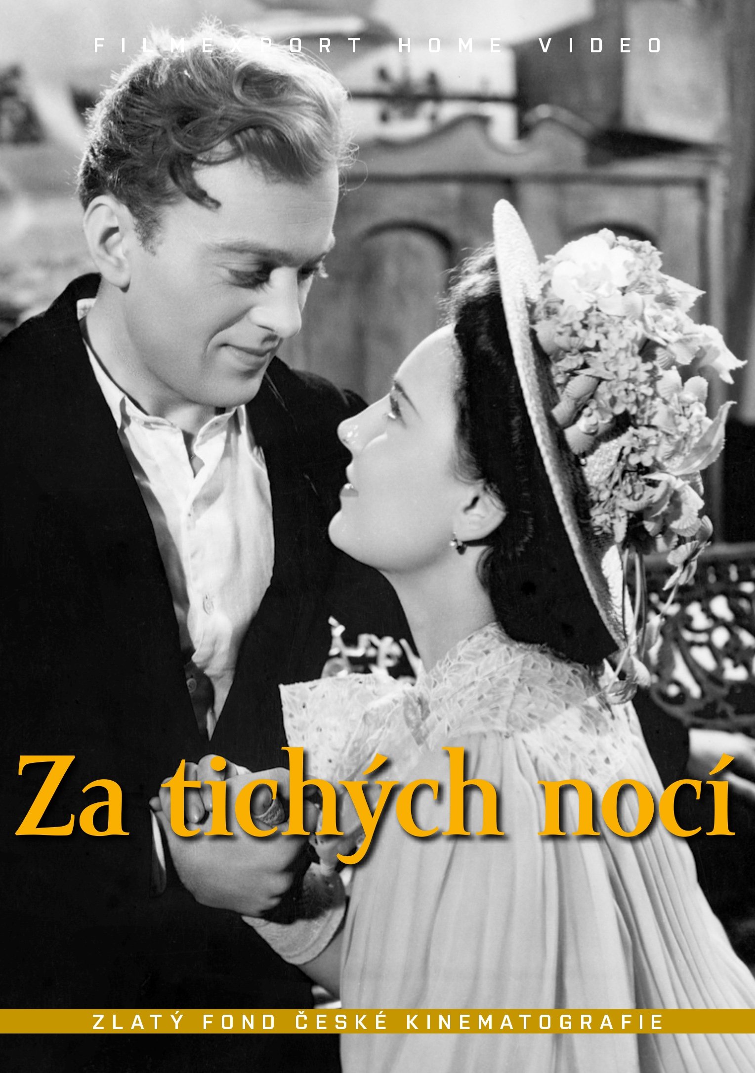 Poster de Za tichých nocí