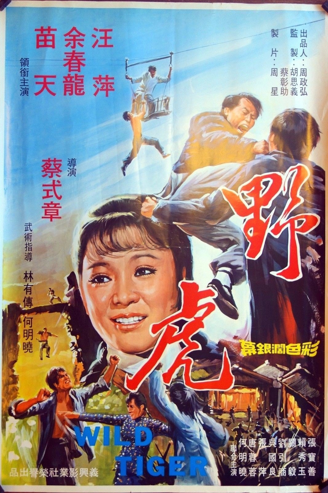 Poster for Wild Tiger