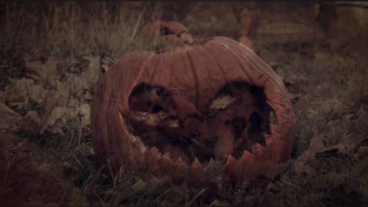 3 Dead Trick or Treaters