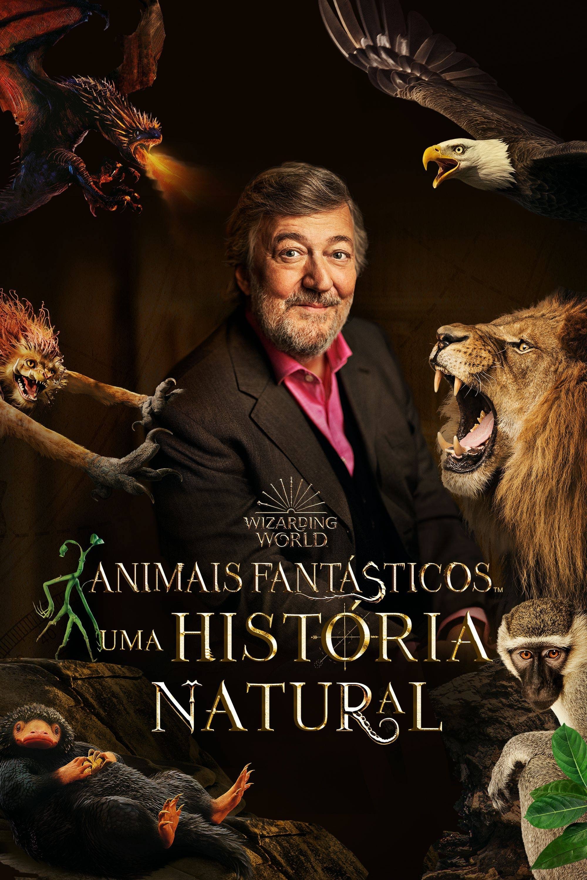 Poster de Animais Fantásticos Uma História Natural