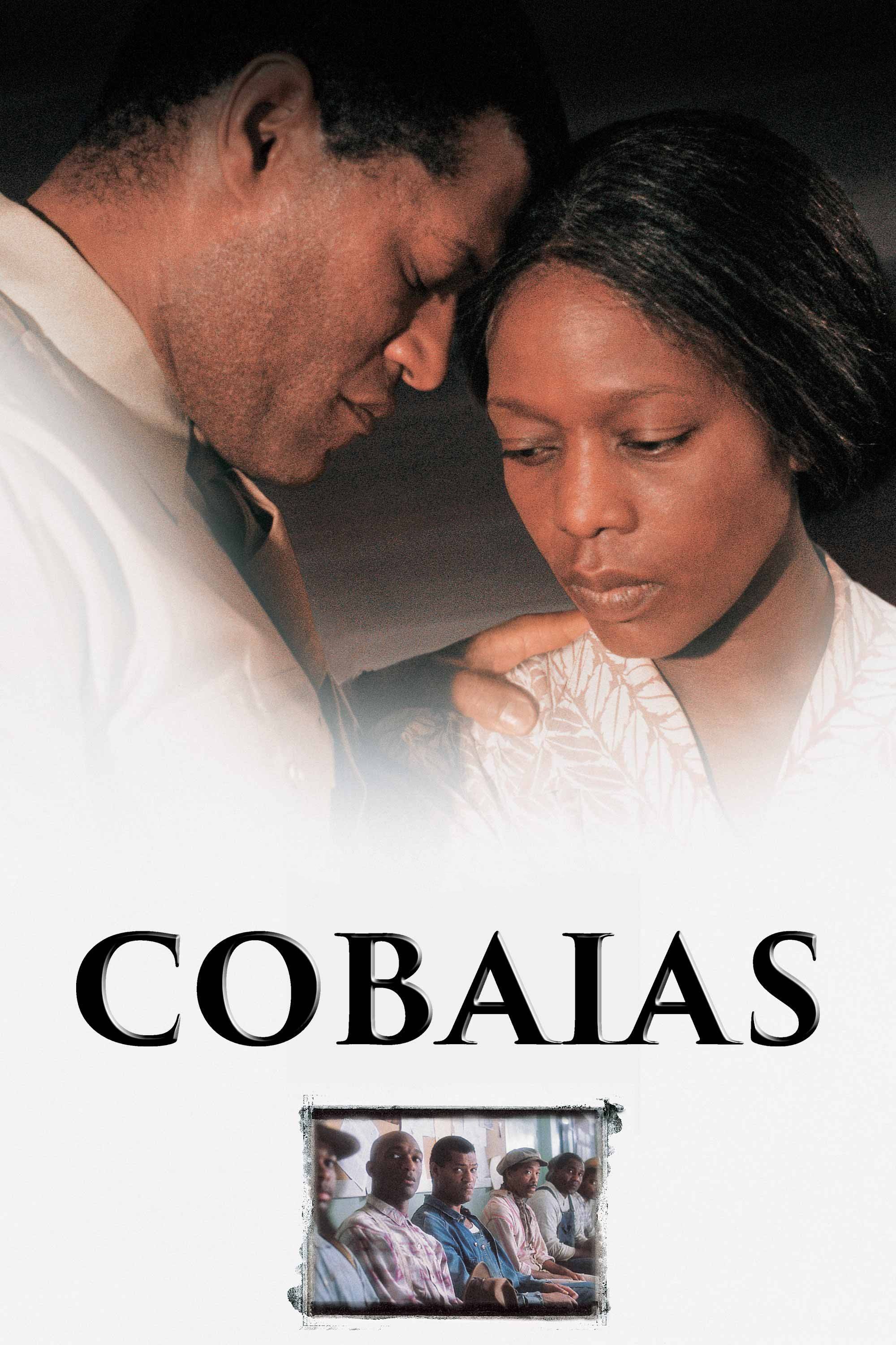 Poster de Cobaias