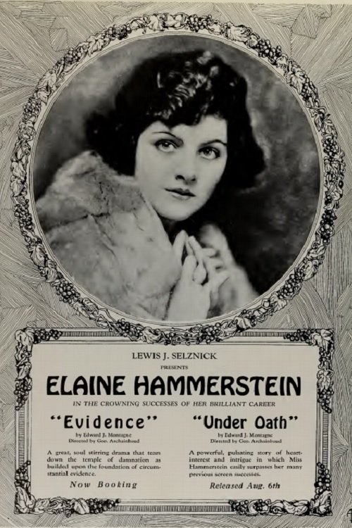 Poster de Evidence
