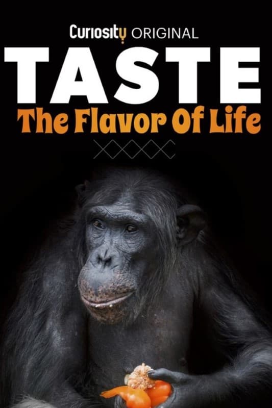 Poster de Taste: The Flavor of Life