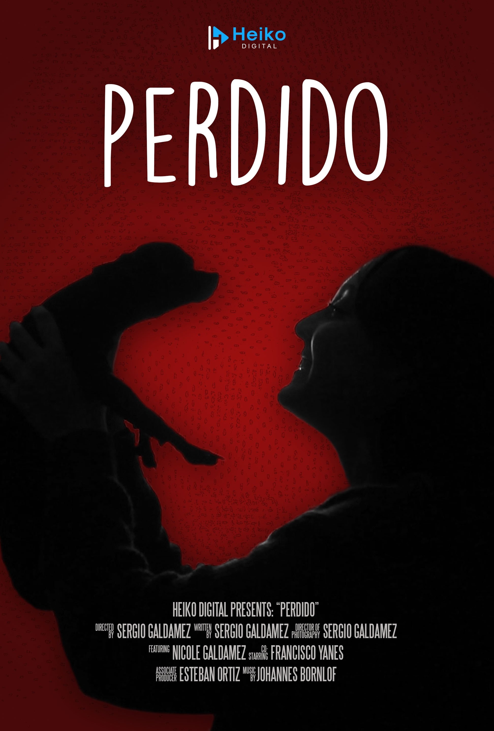 Poster de Perdido
