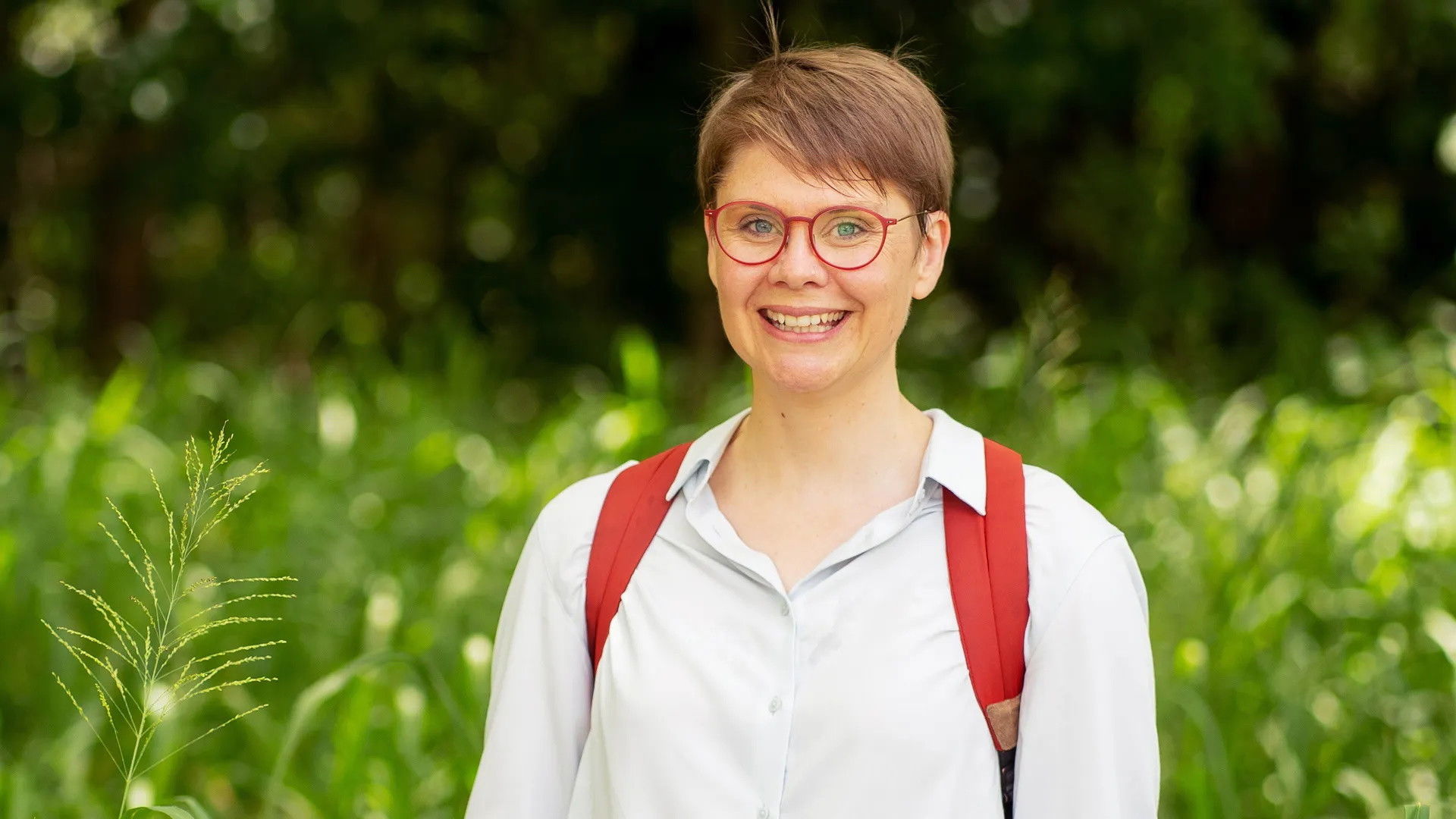 The Secret Lives of Our Urban Birds