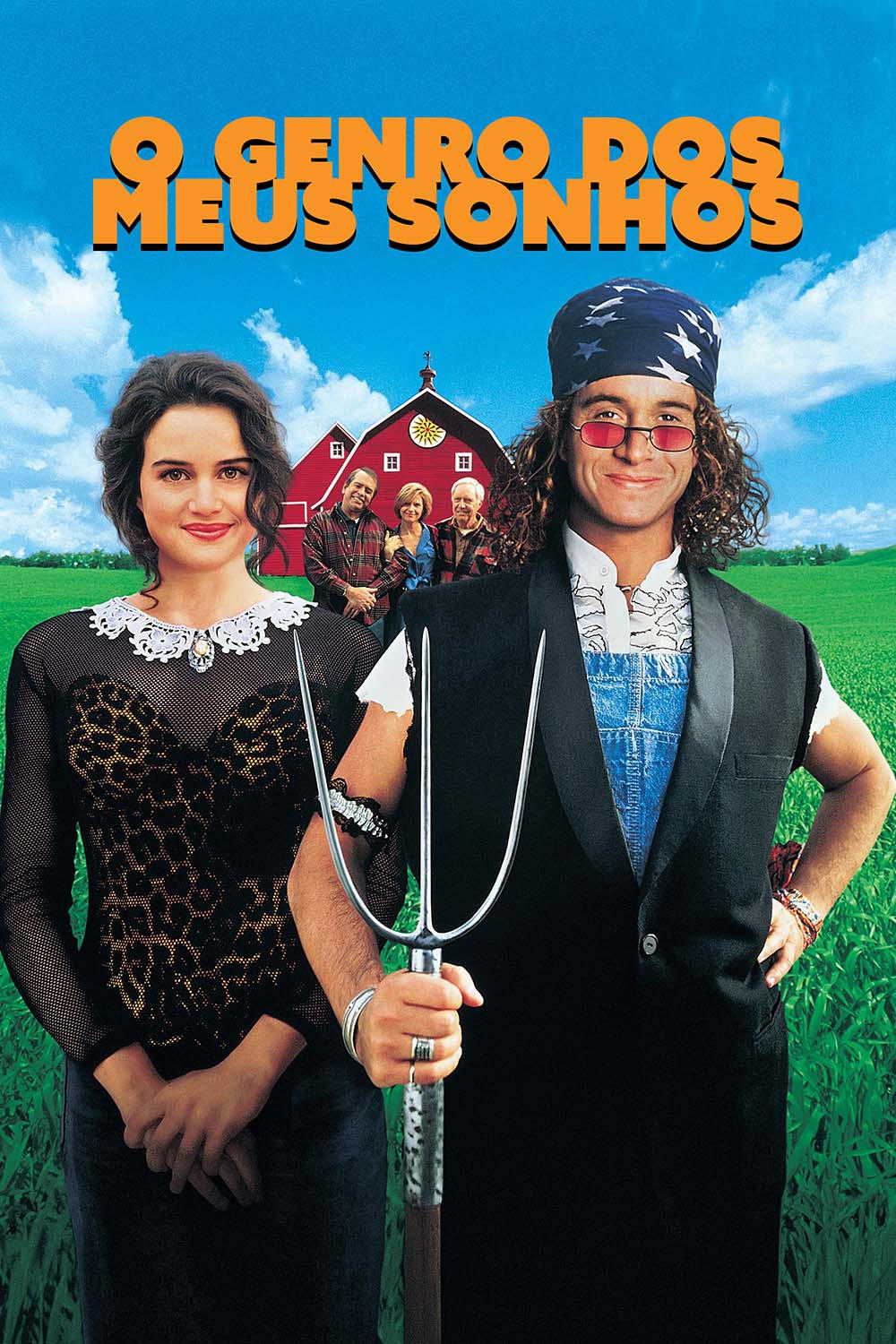 Poster de O Genro dos Meus Sonhos