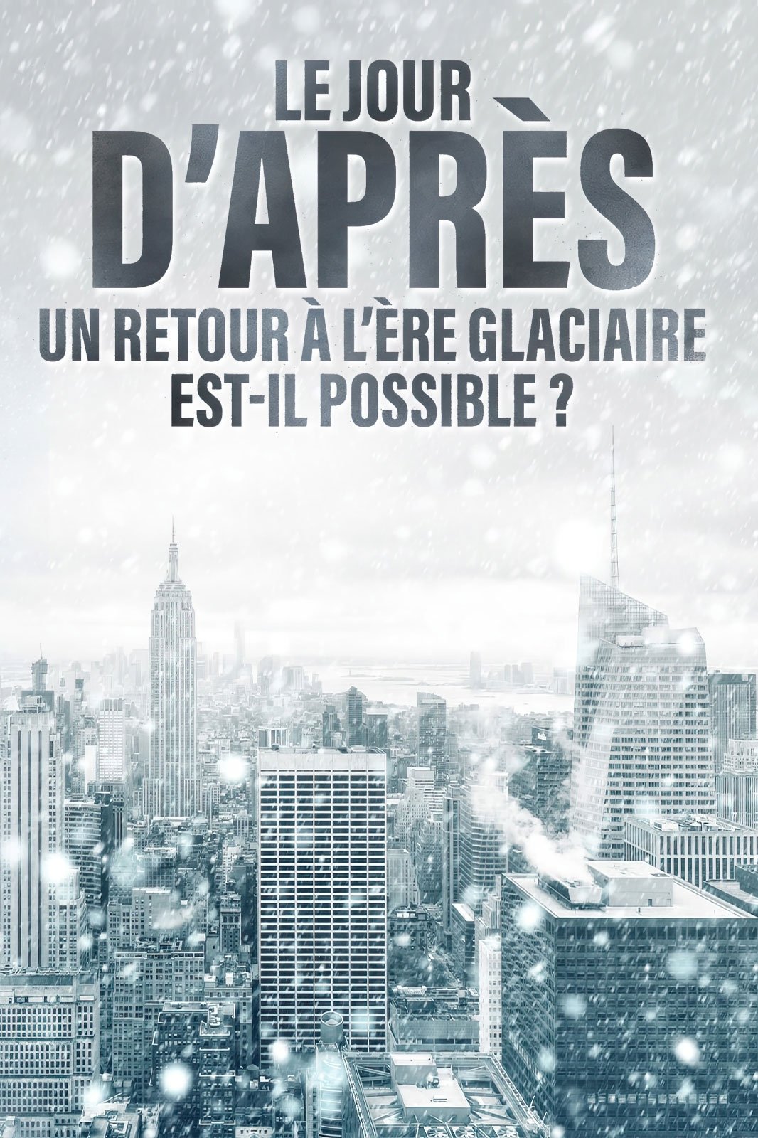 Poster de Le jour d'après : Un retour à l'ère glaciaire est-il possible ?
