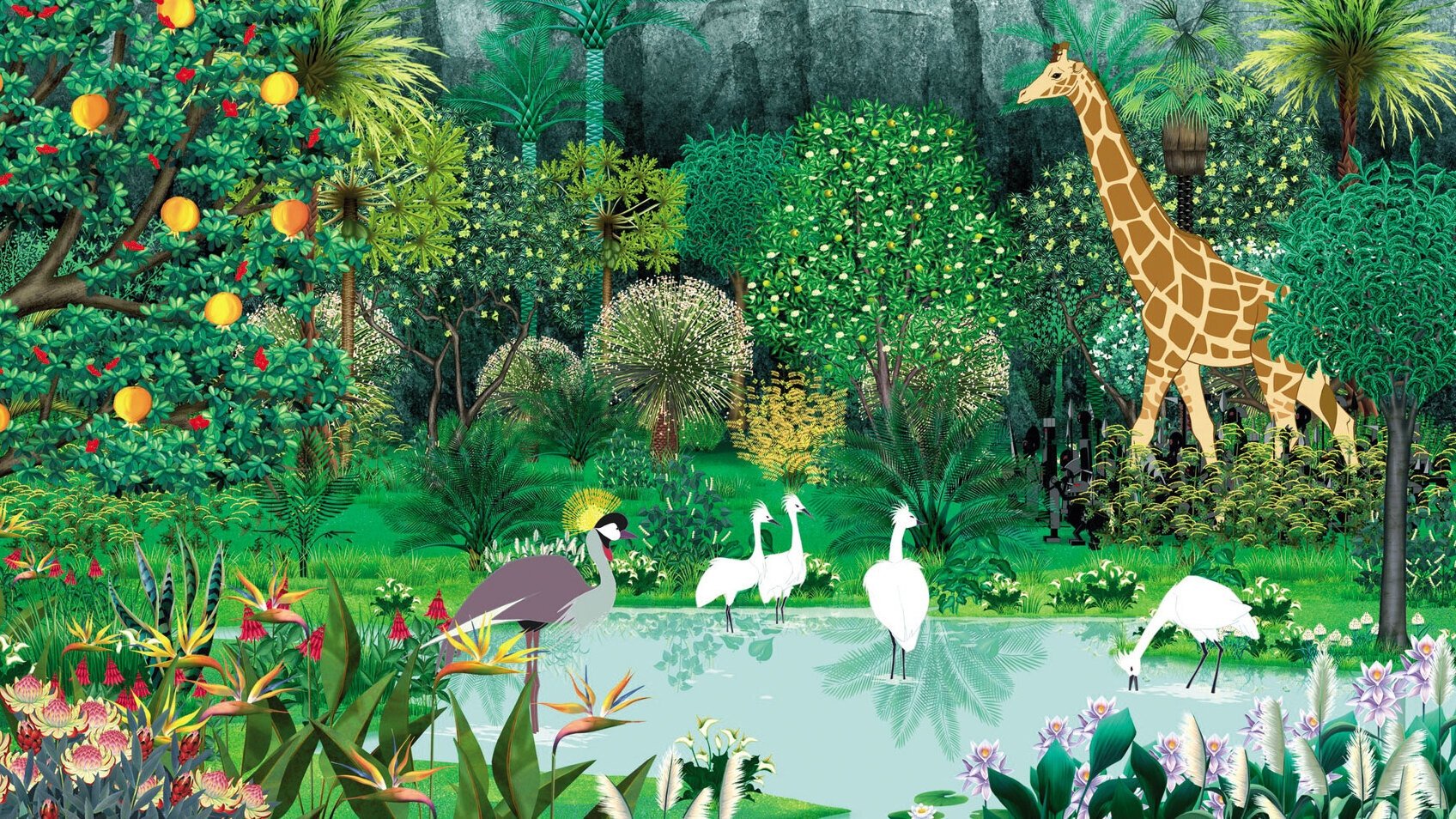 Backdrop image