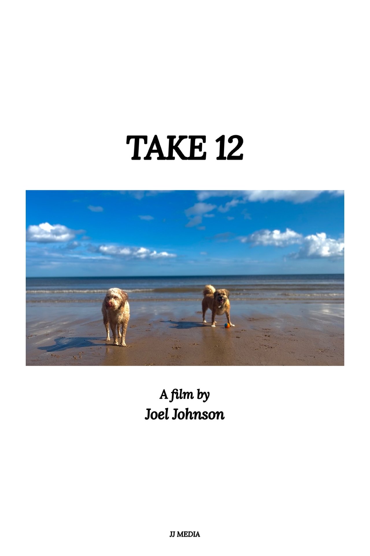 Poster de Take 12