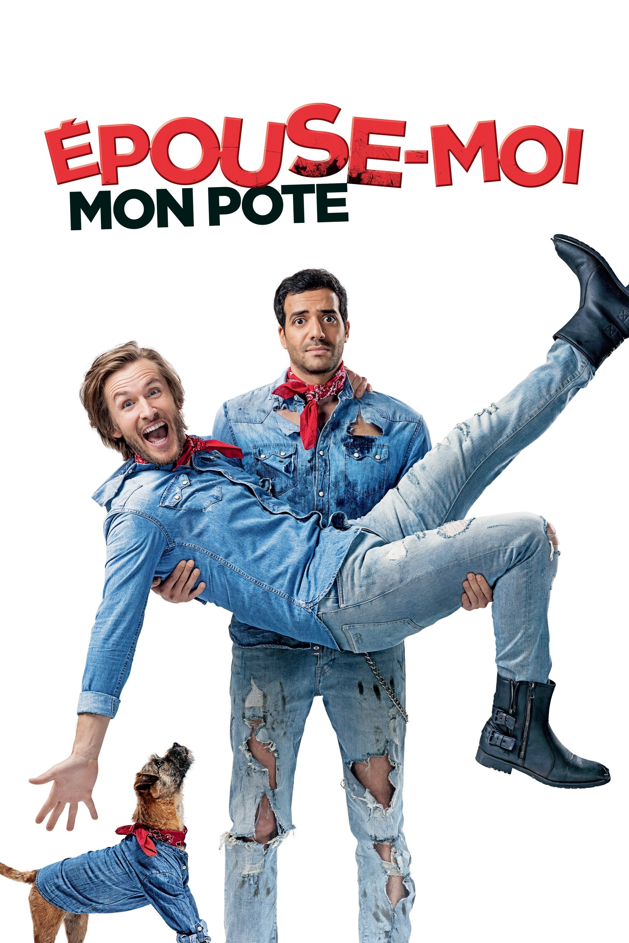 Affiche du film Épouse-moi mon pote