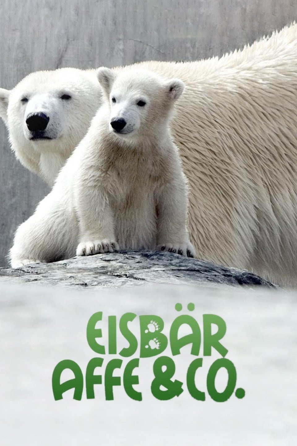 Poster de Eisbär, Affe & Co.