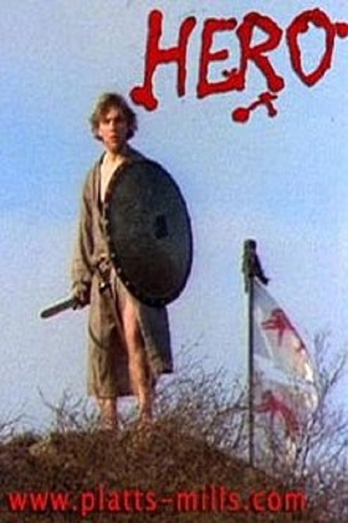 Poster de Hero