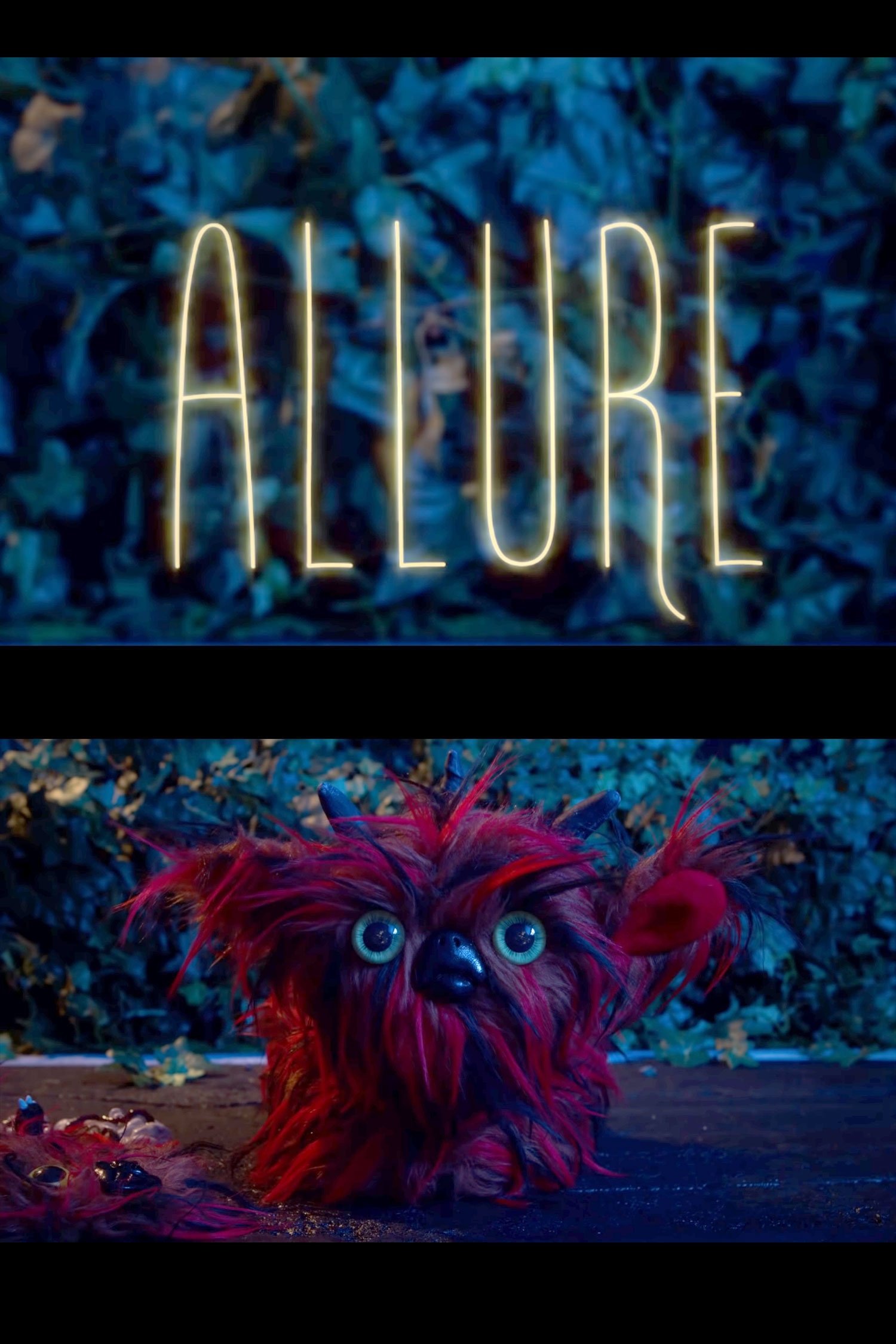 Poster de Allure