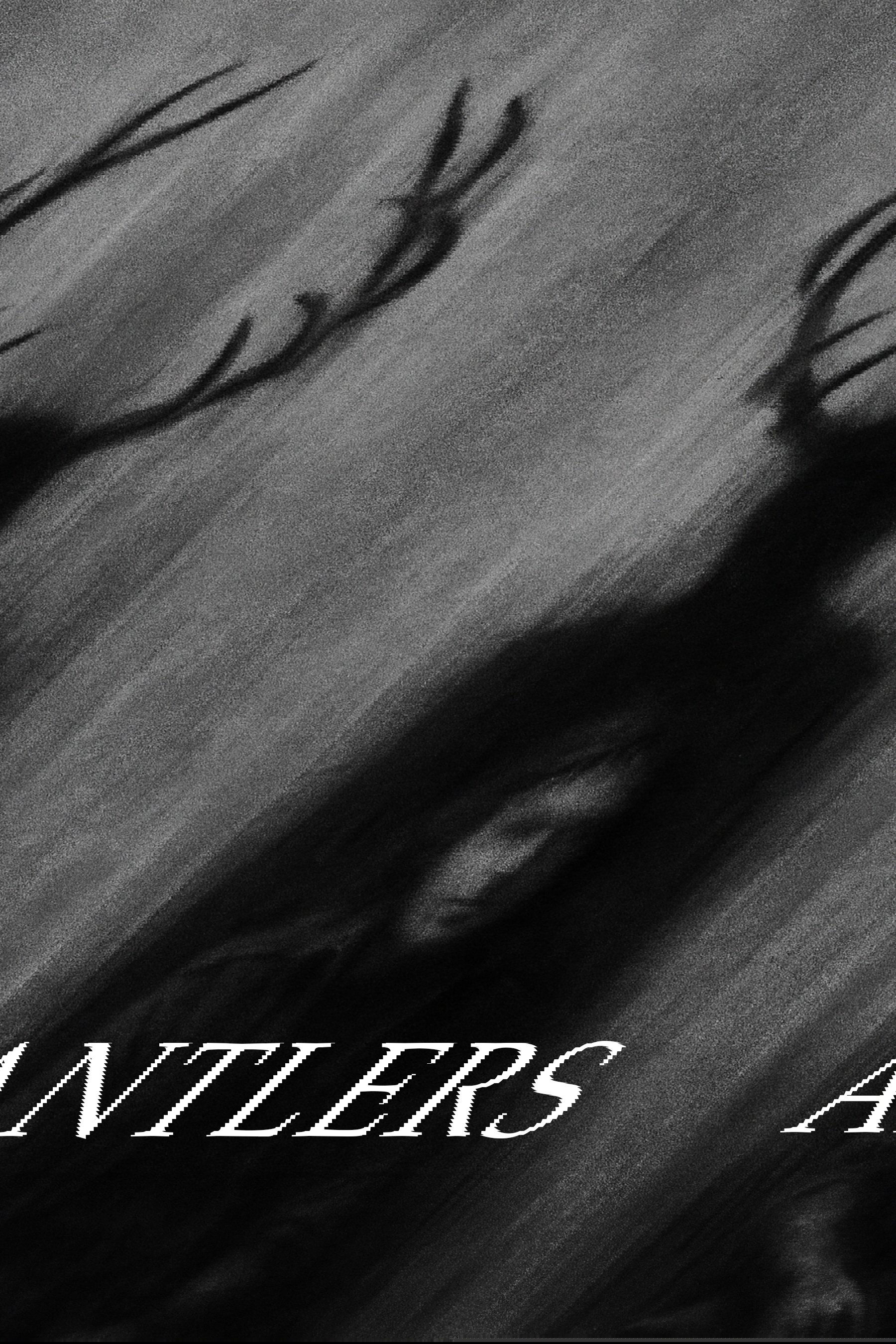 Poster de ANTLERS