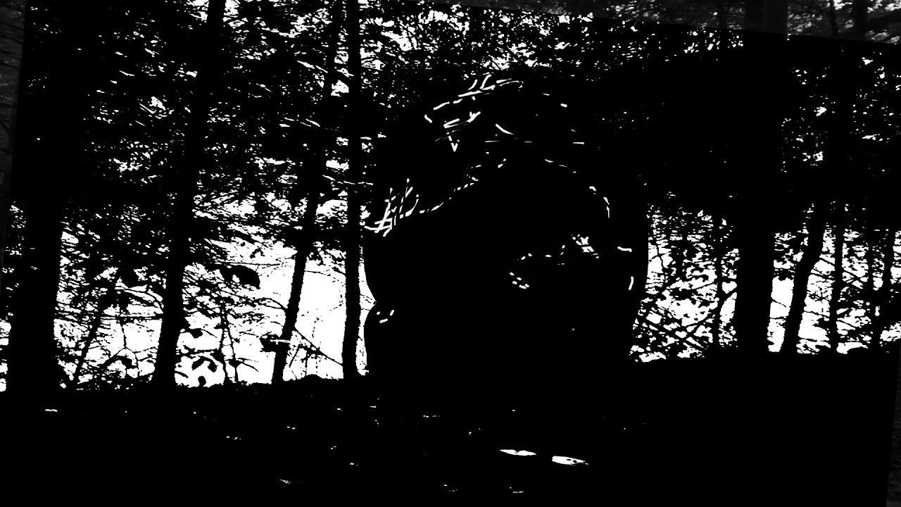 Species Anomaly Report