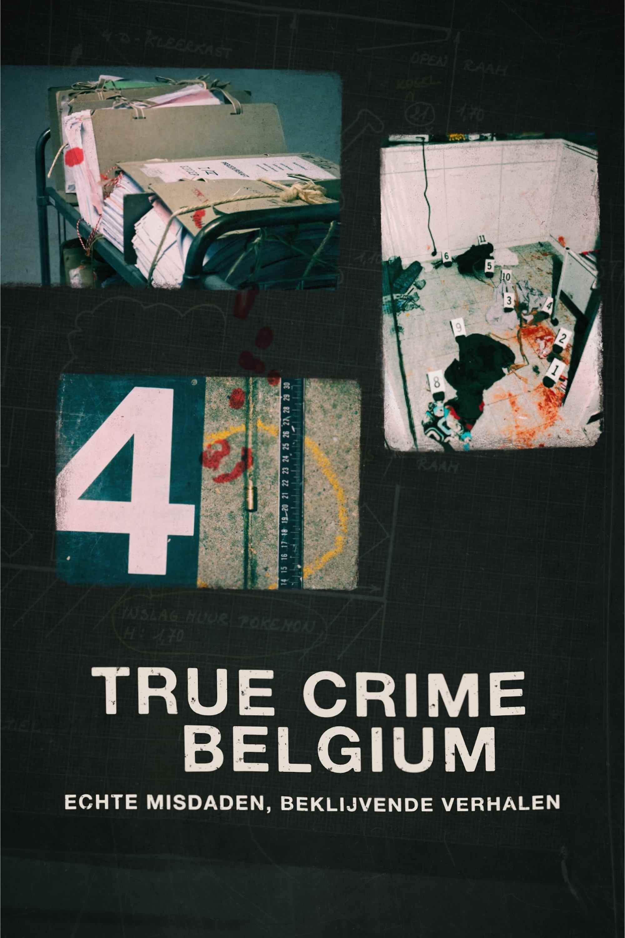 Poster de True Crime Belgium