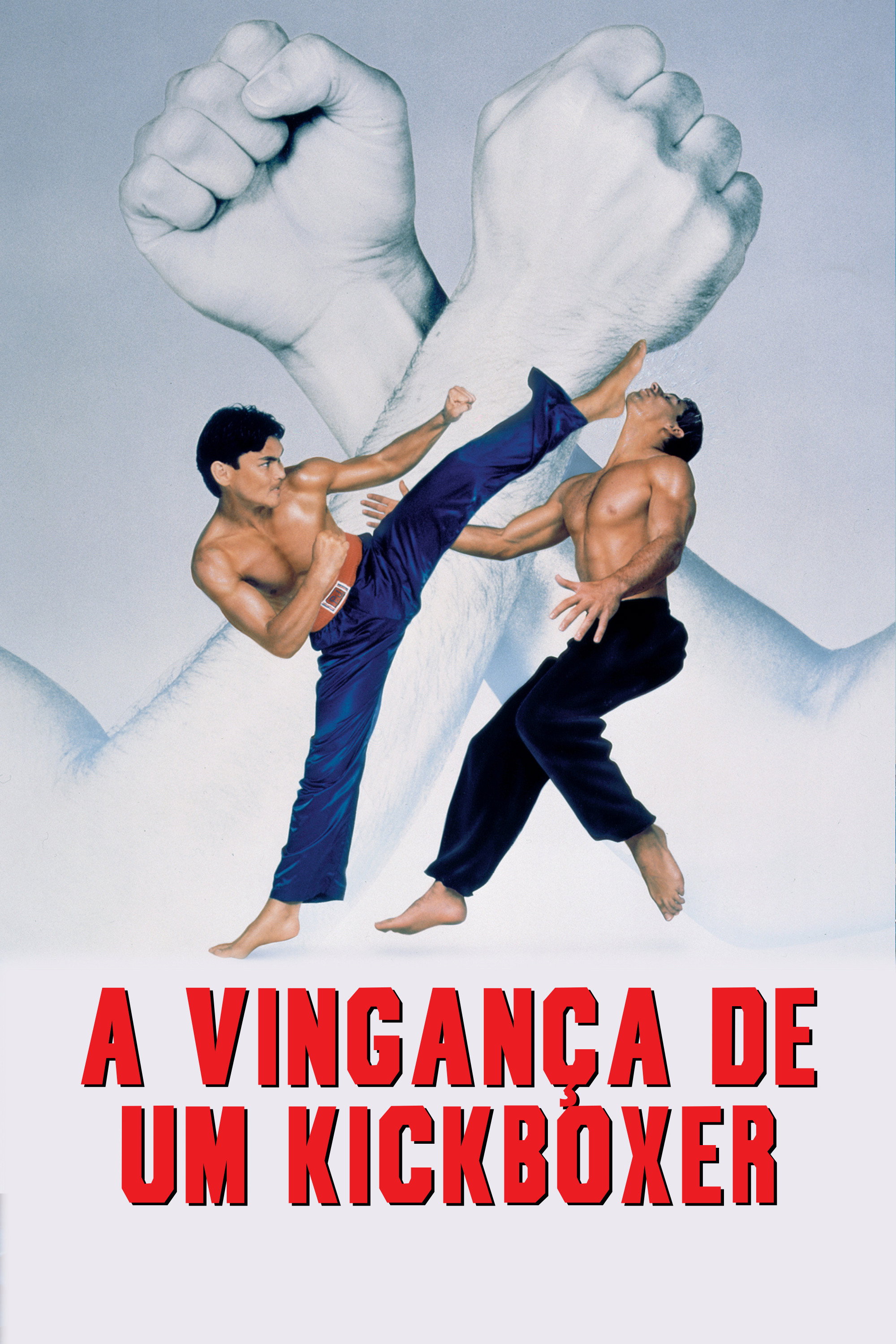 Poster de A Vingança de um Kickboxer