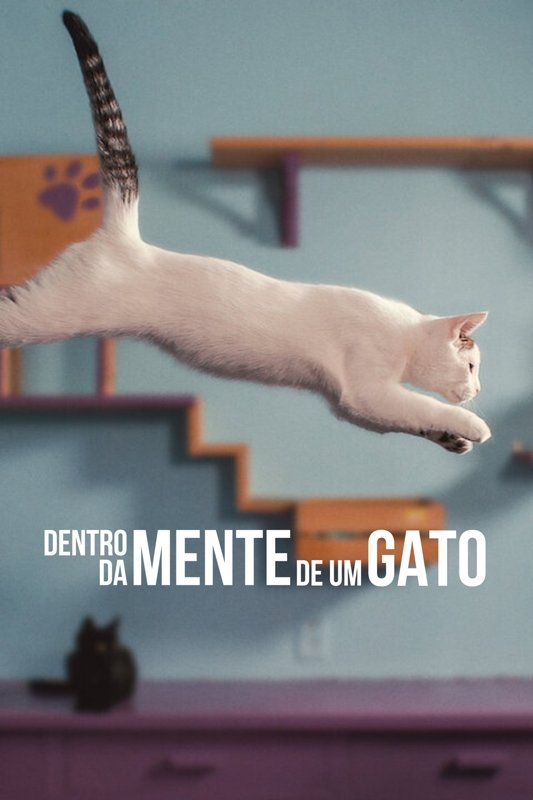 Poster de Dentro da Mente de um Gato