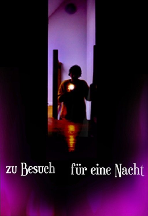 Poster de Zu Besuch für eine Nacht
