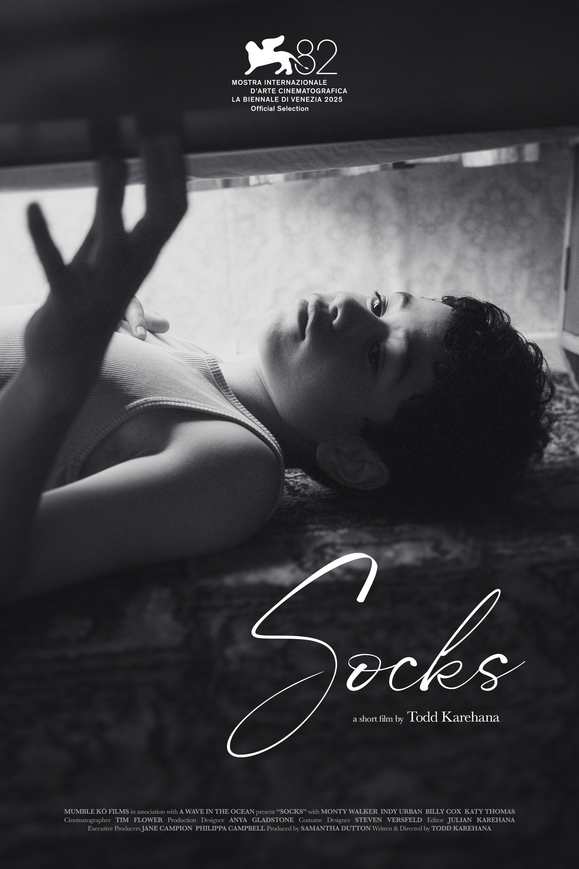 Poster de Socks