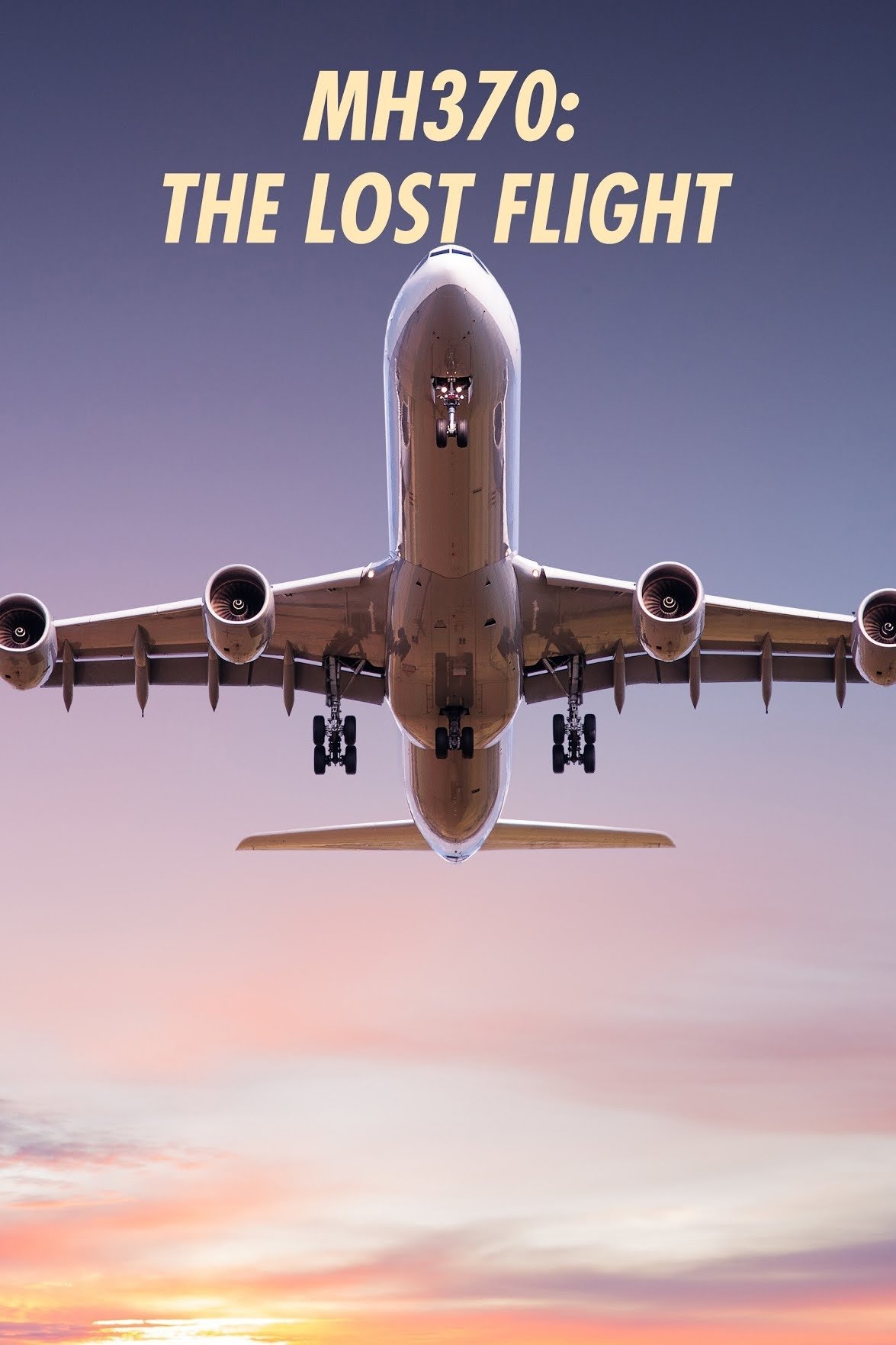 Poster de MH370: The Lost Flight