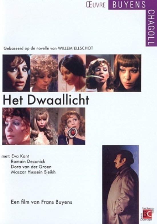 Poster de Het Dwaallicht