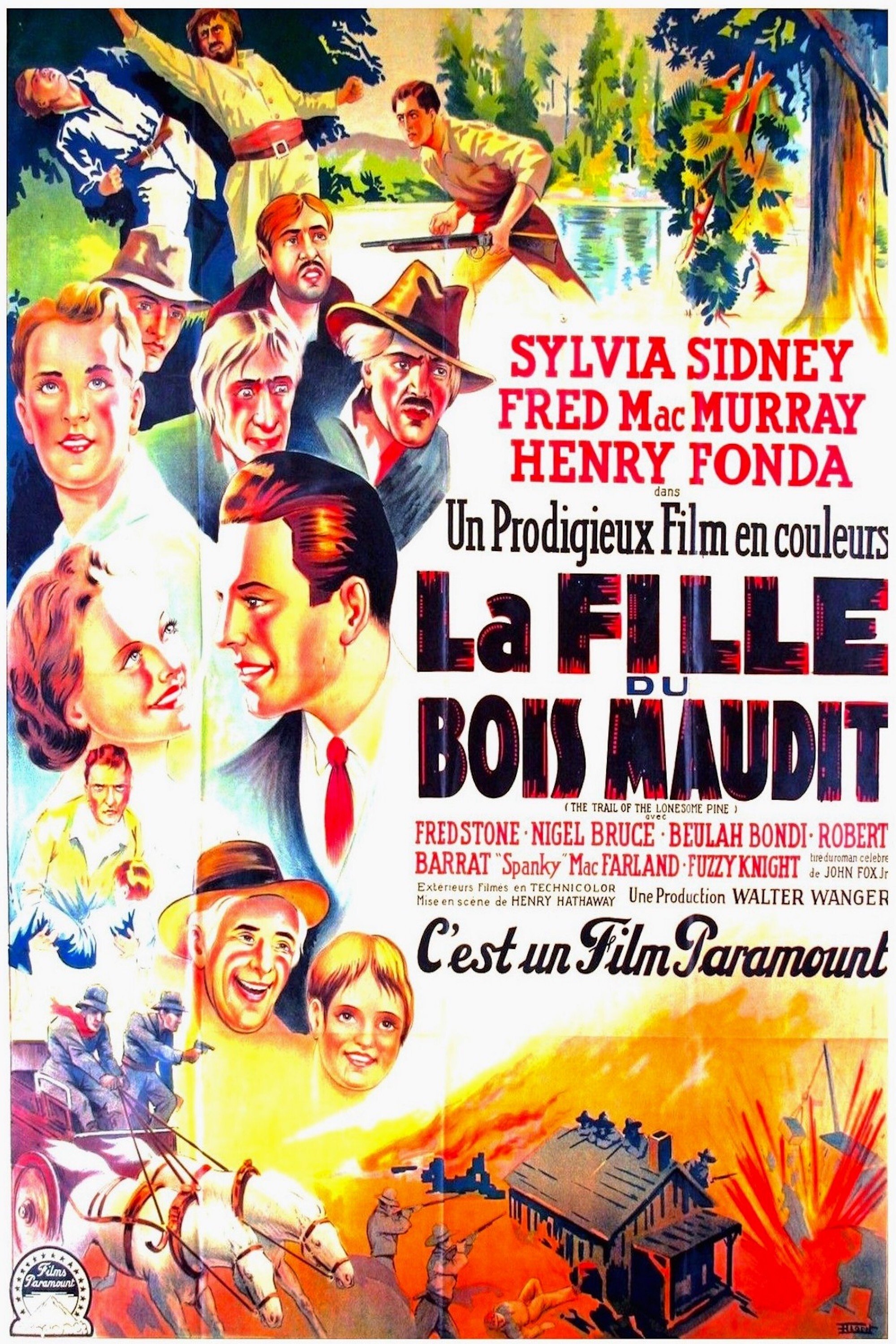 Affiche du film La Fille du bois maudit