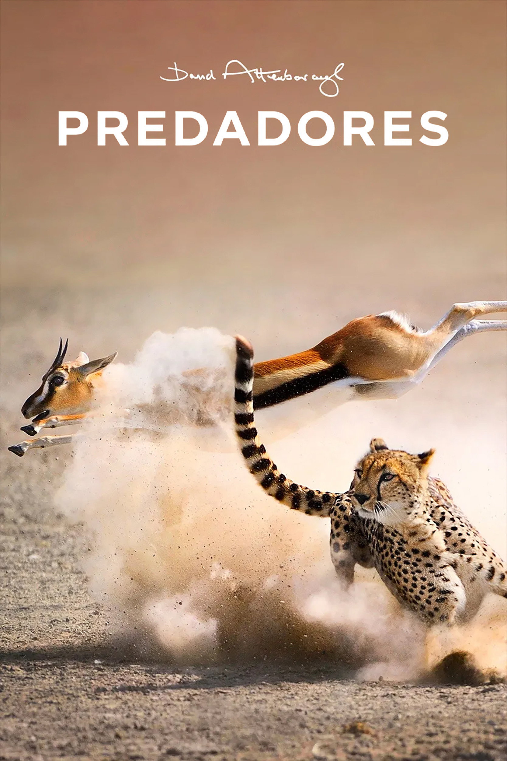 Poster de Predadores