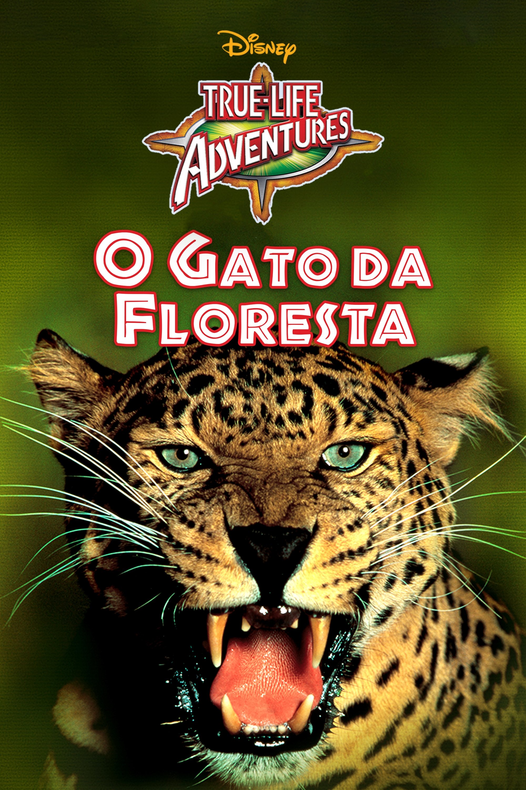 Poster de O Gato da Floresta