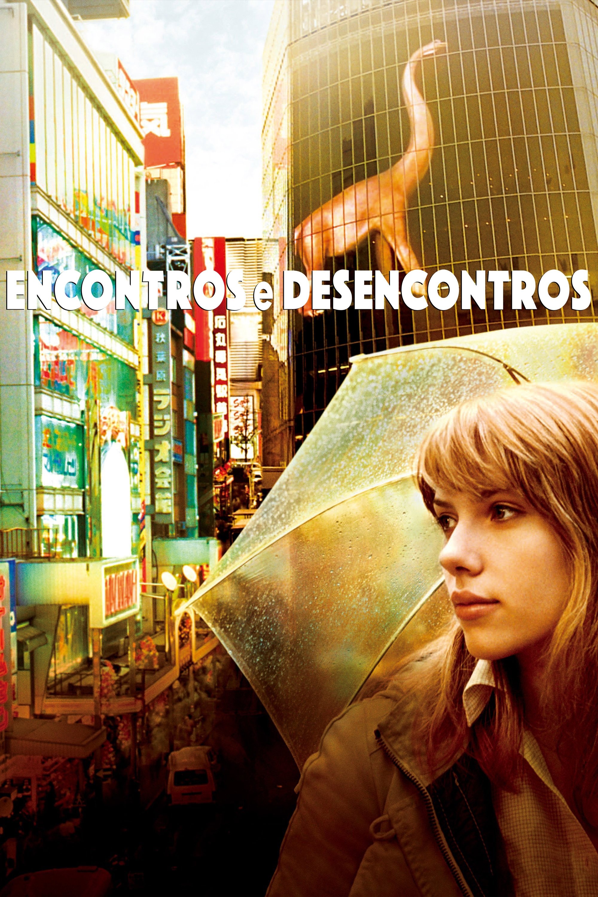 Poster de Encontros e Desencontros