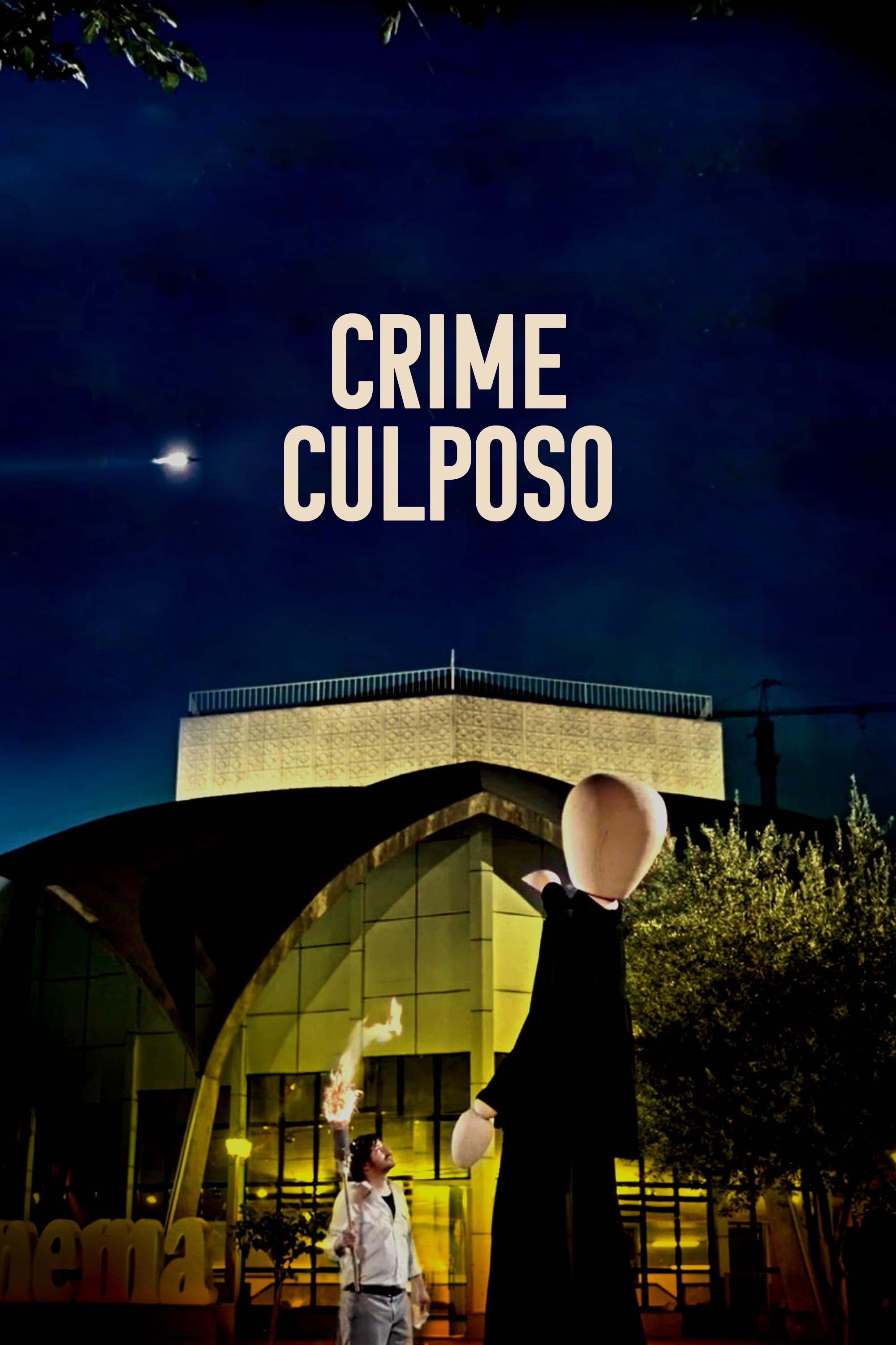 Poster de Crime Culposo