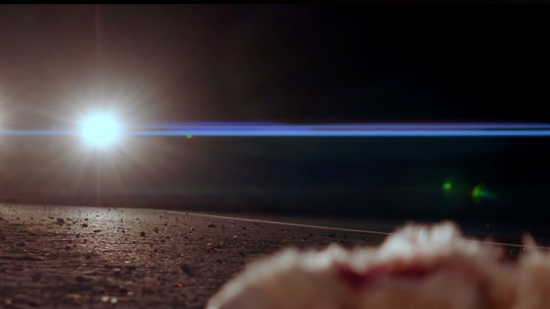 Roadkill