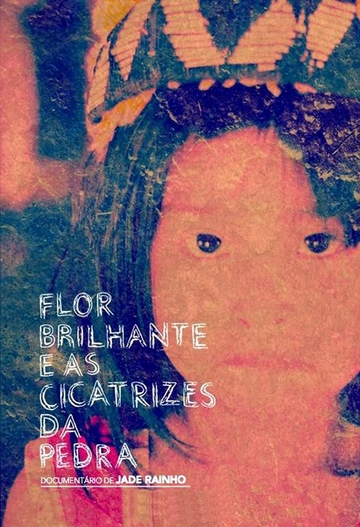 Poster de Flor Brilhante e as Cicatrizes da Pedra