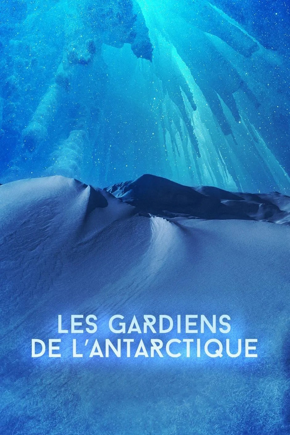 Poster de Les gardiens de l'Antarctique