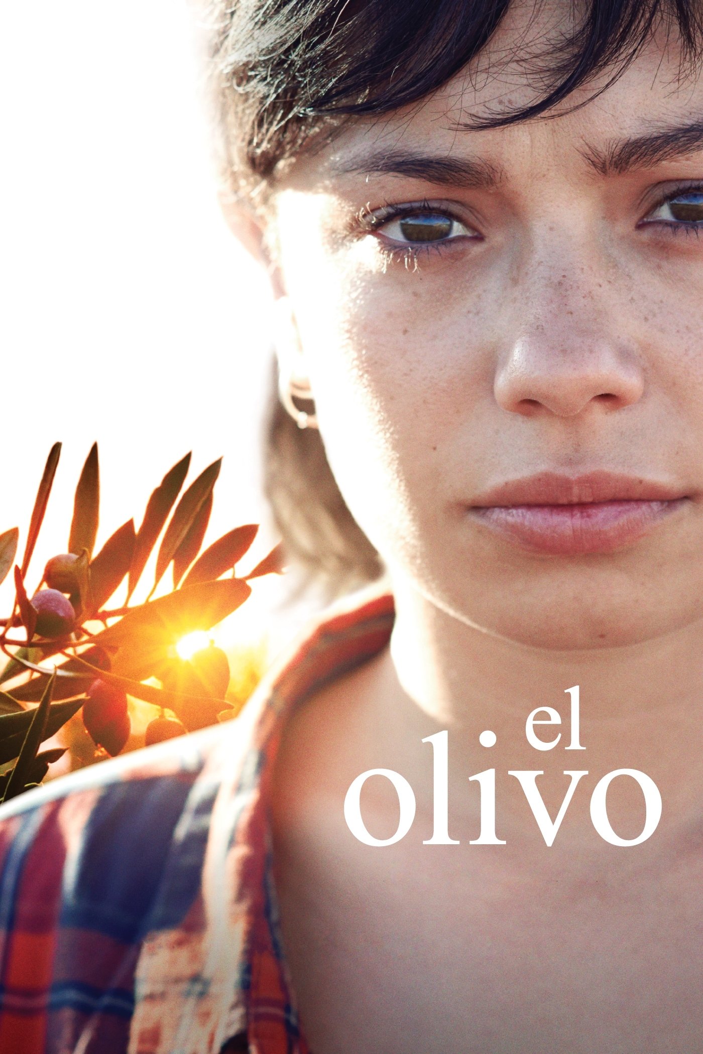 Poster de A Oliveira