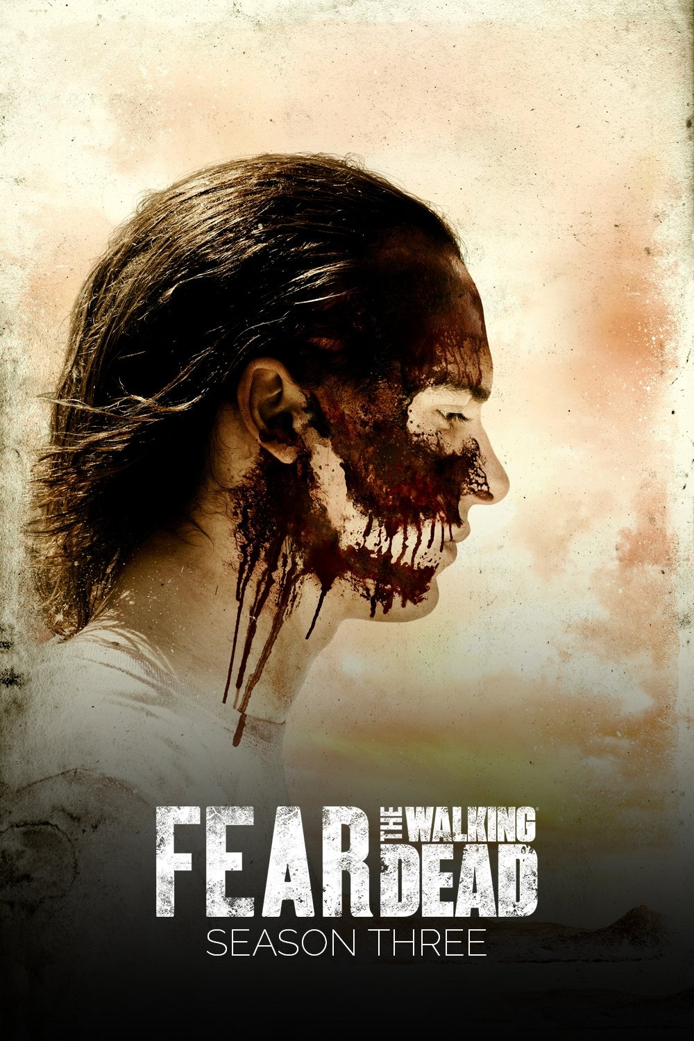Poster de Temporada 3